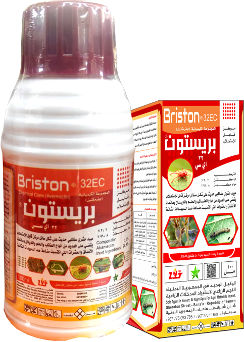 Briston
